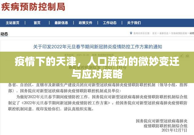 疫情下的天津，人口流動的微妙變遷與應(yīng)對策略