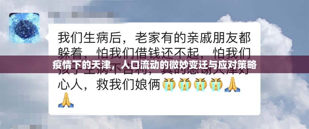 疫情下的天津，人口流動的微妙變遷與應(yīng)對策略