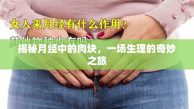 揭秘月經(jīng)中的肉塊，一場(chǎng)生理的奇妙之旅