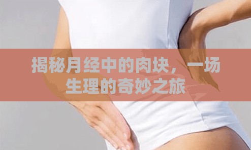 揭秘月經(jīng)中的肉塊，一場(chǎng)生理的奇妙之旅