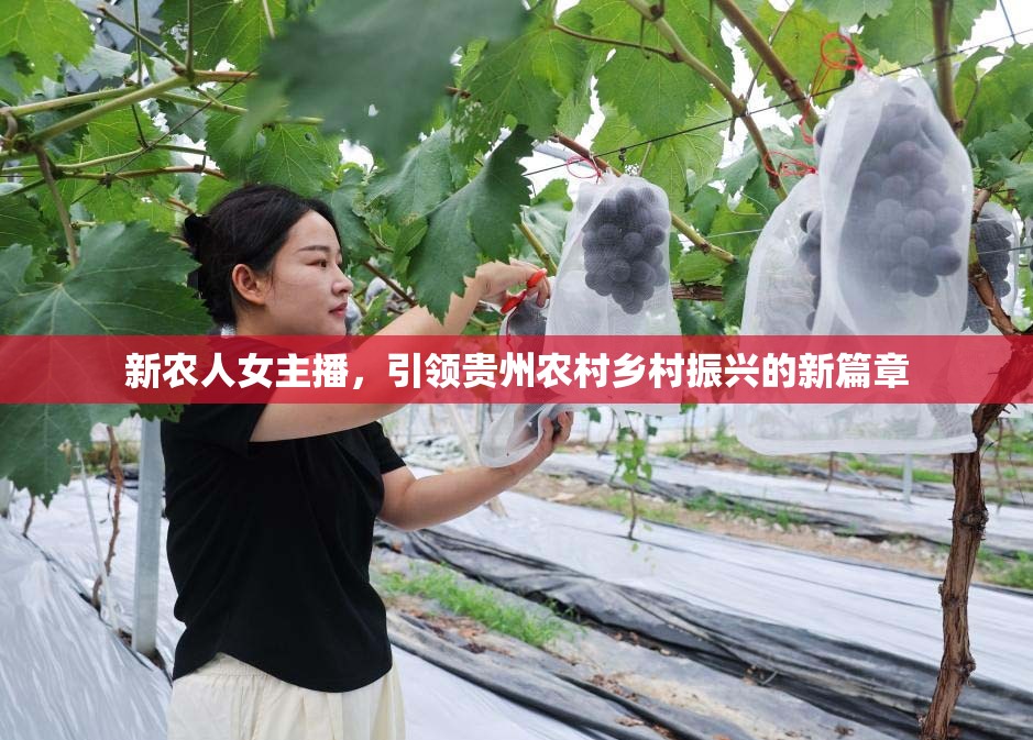 新農(nóng)人女主播，引領(lǐng)貴州農(nóng)村鄉(xiāng)村振興的新篇章