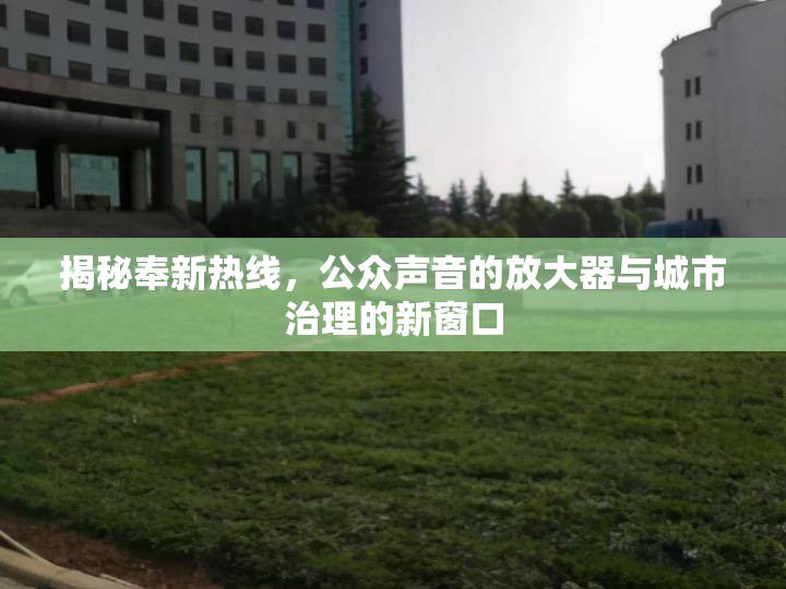 揭秘奉新熱線，公眾聲音的放大器與城市治理的新窗口