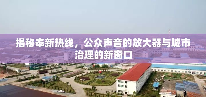 揭秘奉新熱線，公眾聲音的放大器與城市治理的新窗口