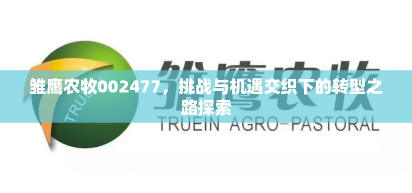 雛鷹農牧002477，挑戰(zhàn)與機遇交織下的轉型之路探索