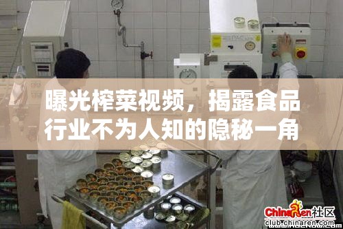 曝光榨菜視頻，揭露食品行業(yè)不為人知的隱秘一角