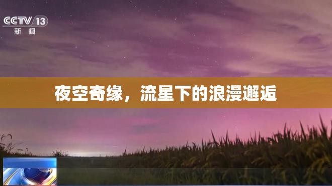 夜空奇緣，流星下的浪漫邂逅