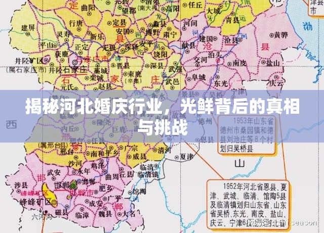 揭秘河北婚慶行業(yè)，光鮮背后的真相與挑戰(zhàn)