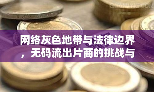 網(wǎng)絡(luò)灰色地帶與法律邊界，無碼流出片商的挑戰(zhàn)與風(fēng)險(xiǎn)
