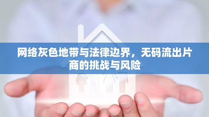 網(wǎng)絡(luò)灰色地帶與法律邊界，無碼流出片商的挑戰(zhàn)與風(fēng)險(xiǎn)