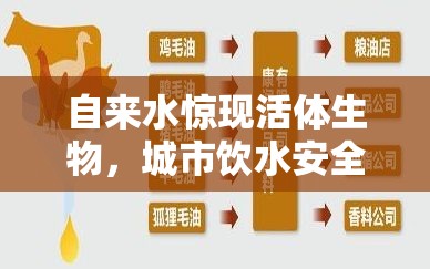 自來水驚現(xiàn)活體生物，城市飲水安全再敲警鐘