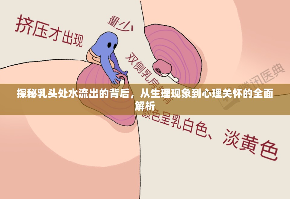 探秘乳頭處水流出的背后，從生理現(xiàn)象到心理關(guān)懷的全面解析