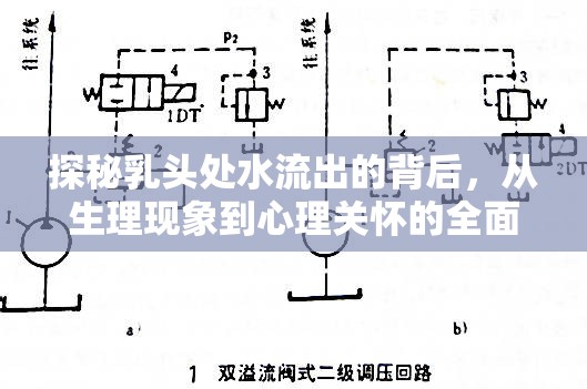 探秘乳頭處水流出的背后，從生理現(xiàn)象到心理關(guān)懷的全面解析