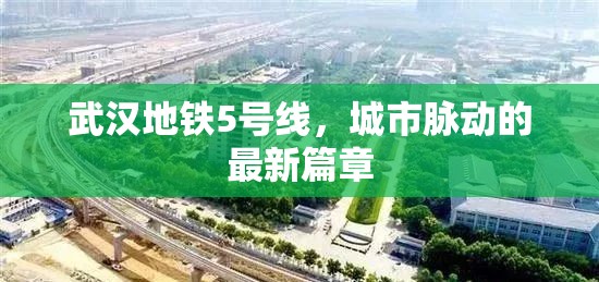 武漢地鐵5號線，城市脈動(dòng)的最新篇章