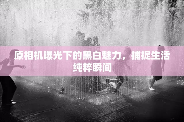 原相機曝光下的黑白魅力，捕捉生活純粹瞬間