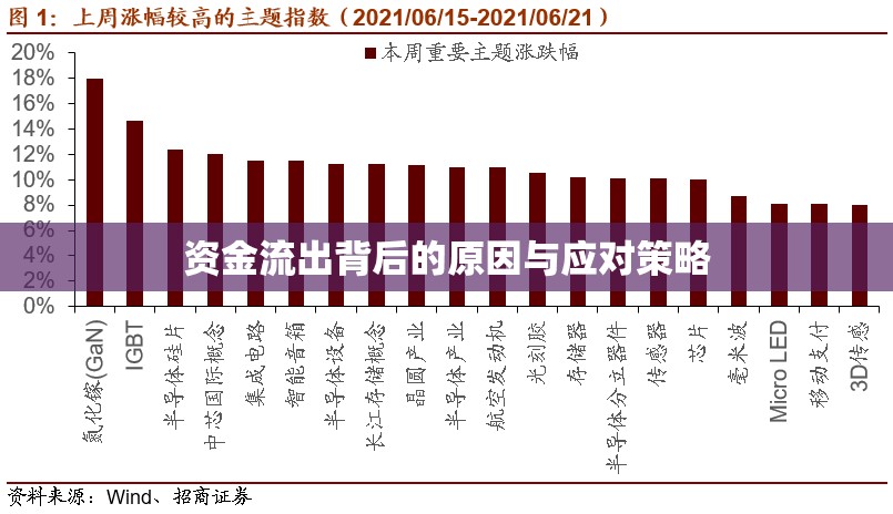 資金流出背后的原因與應(yīng)對(duì)策略
