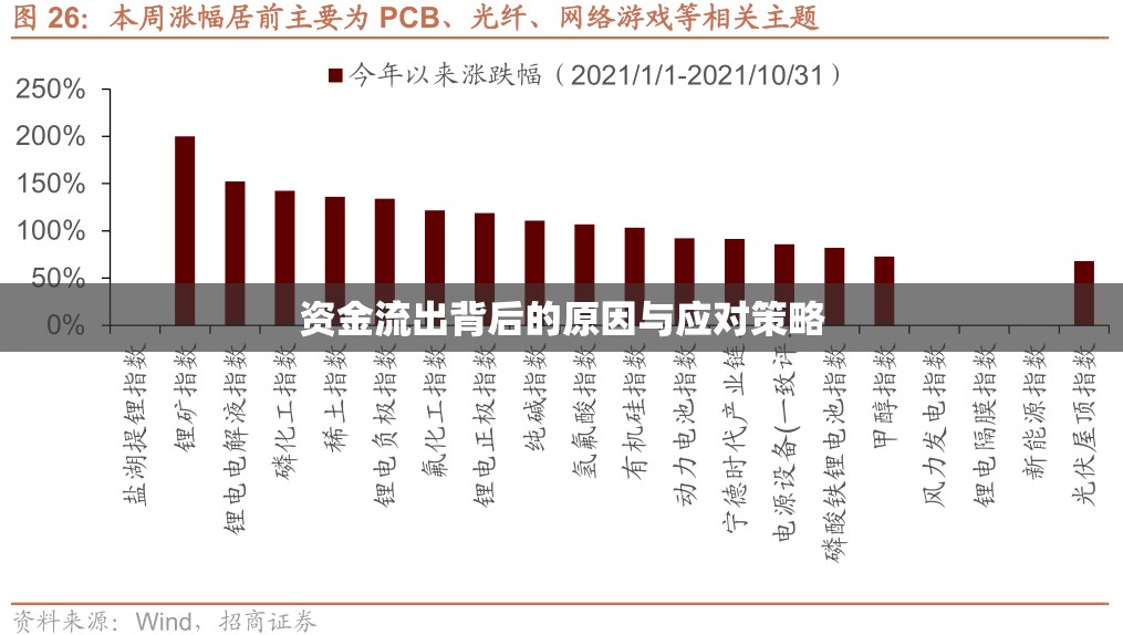 資金流出背后的原因與應(yīng)對(duì)策略
