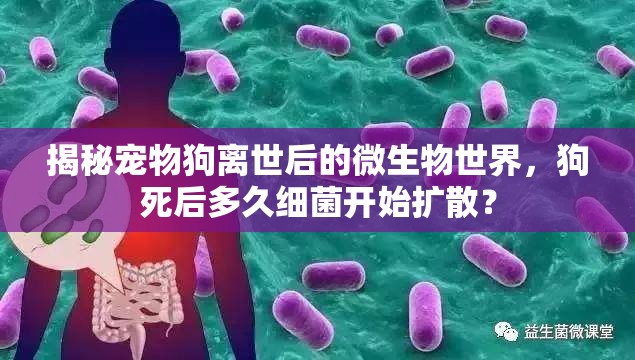 揭秘寵物狗離世后的微生物世界，狗死后多久細菌開始擴散？
