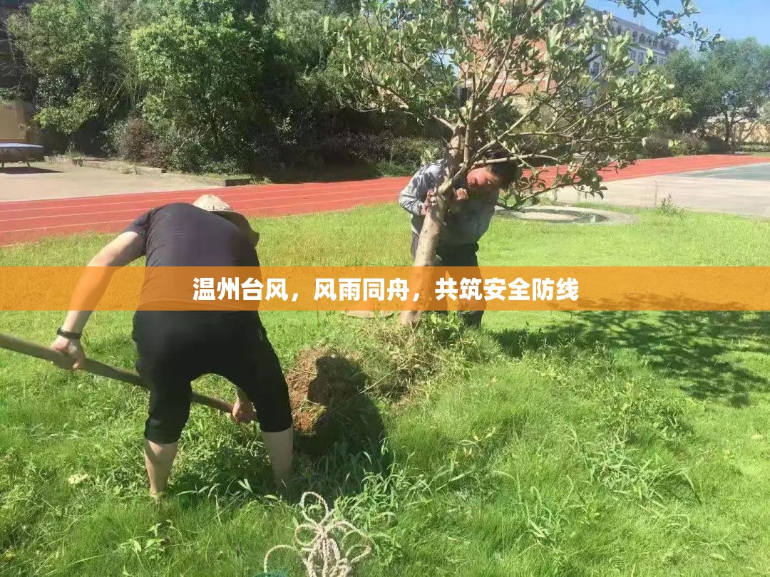 溫州臺風，風雨同舟，共筑安全防線