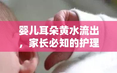 嬰兒耳朵黃水流出，家長必知的護理與預防指南