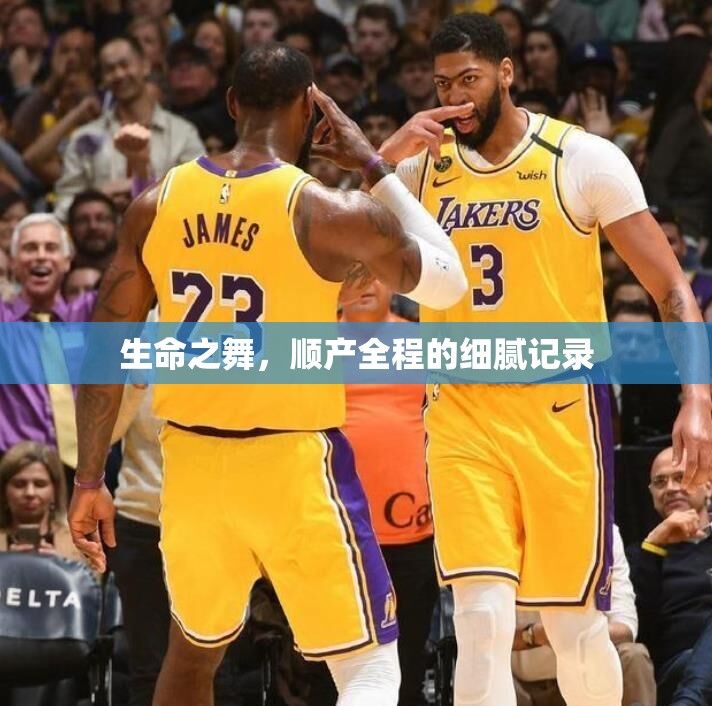 生命之舞，順產(chǎn)全程的細膩記錄
