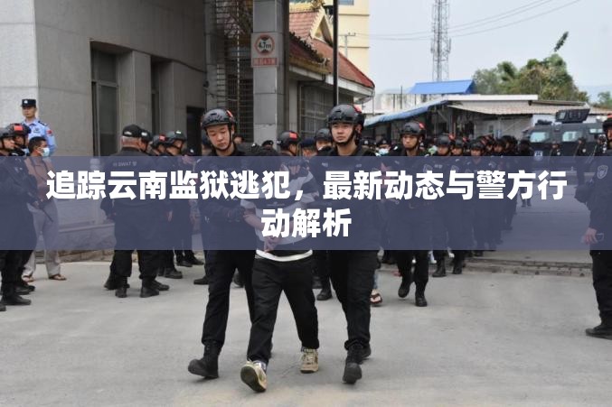 追蹤云南監(jiān)獄逃犯，最新動態(tài)與警方行動解析