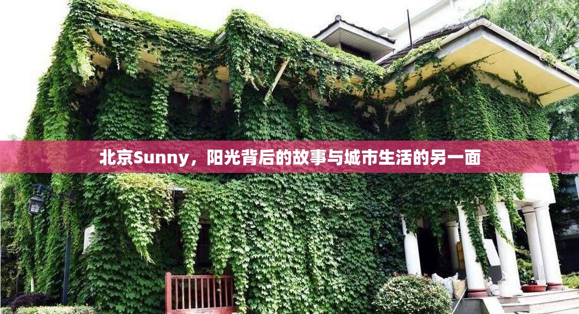北京Sunny，陽(yáng)光背后的故事與城市生活的另一面