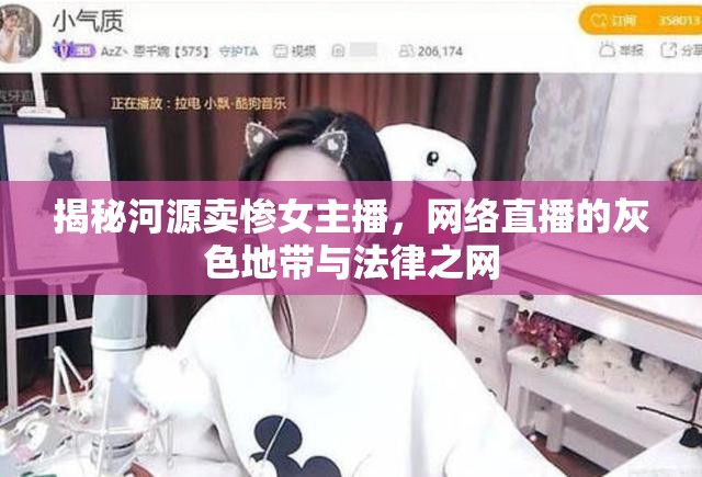 揭秘河源賣慘女主播，網(wǎng)絡(luò)直播的灰色地帶與法律之網(wǎng)