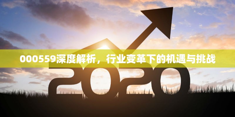 000559深度解析，行業(yè)變革下的機遇與挑戰(zhàn)