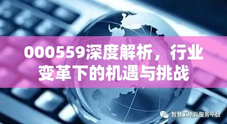 000559深度解析，行業(yè)變革下的機遇與挑戰(zhàn)