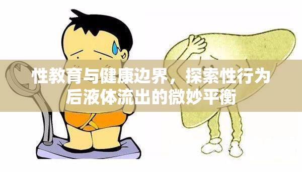 性教育與健康邊界，探索性行為后液體流出的微妙平衡