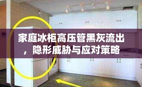 家庭冰柜高壓管黑灰流出，隱形威脅與應(yīng)對(duì)策略