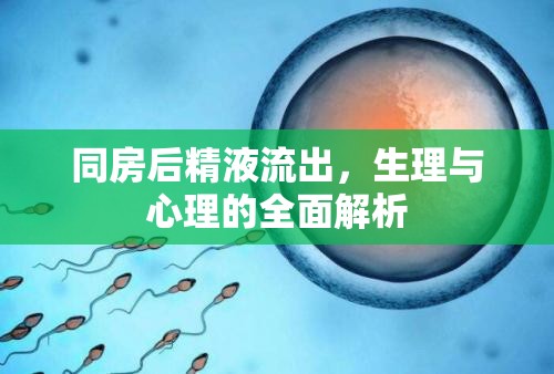同房后精液流出，生理與心理的全面解析
