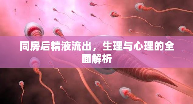 同房后精液流出，生理與心理的全面解析