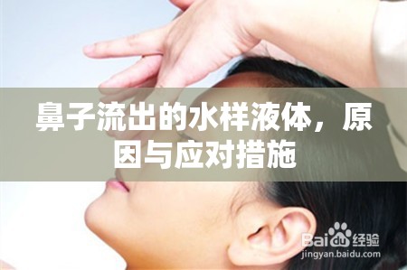 鼻子流出的水樣液體，原因與應(yīng)對(duì)措施