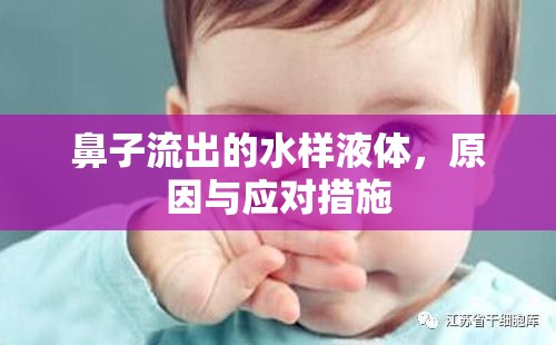 鼻子流出的水樣液體，原因與應(yīng)對(duì)措施