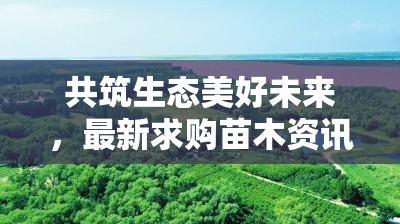 共筑生態(tài)美好未來，最新求購苗木資訊，綠意盎然引領(lǐng)綠色發(fā)展