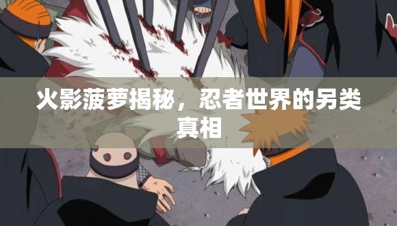火影菠蘿揭秘，忍者世界的另類真相