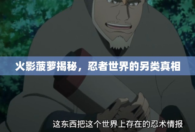 火影菠蘿揭秘，忍者世界的另類真相