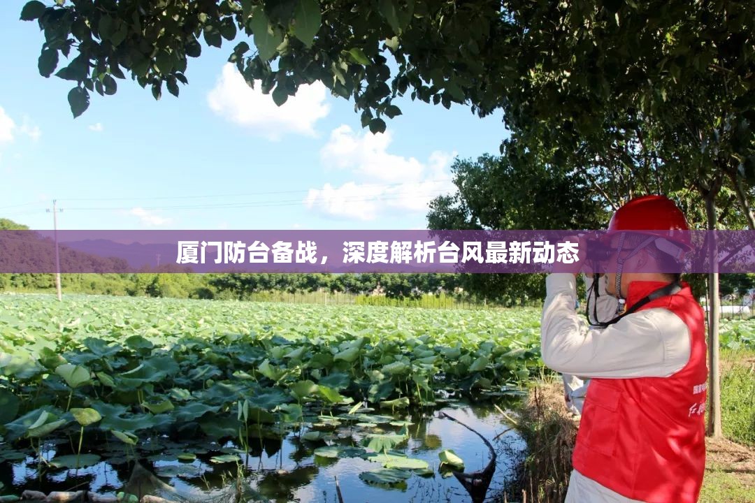 廈門(mén)防臺(tái)備戰(zhàn)，深度解析臺(tái)風(fēng)最新動(dòng)態(tài)