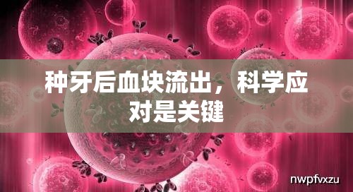 種牙后血塊流出，科學(xué)應(yīng)對是關(guān)鍵