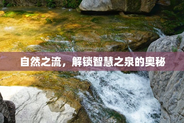 自然之流，解鎖智慧之泉的奧秘
