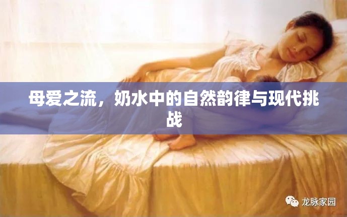母愛之流，奶水中的自然韻律與現(xiàn)代挑戰(zhàn)