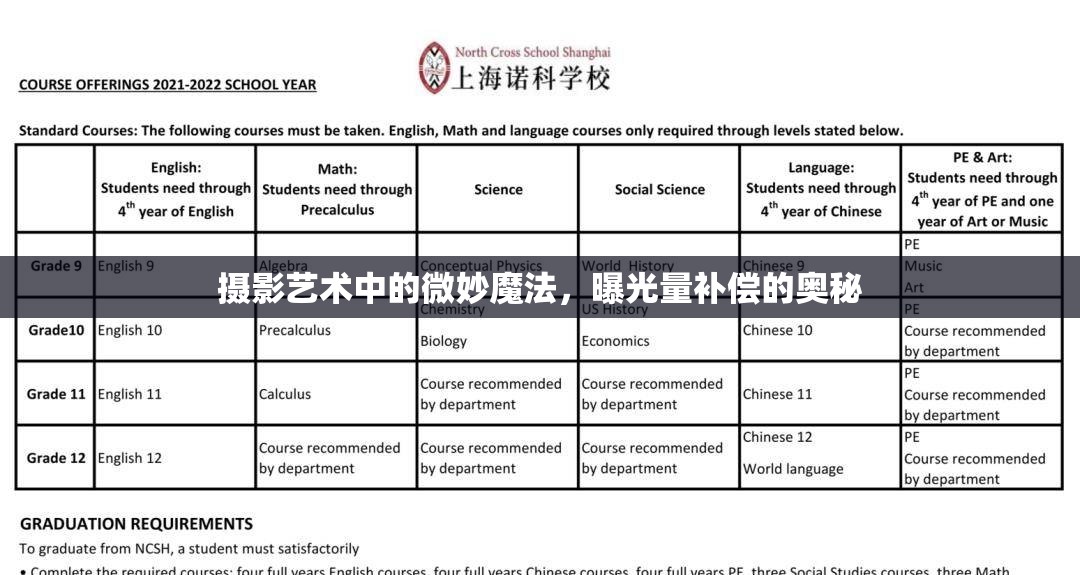 攝影藝術(shù)中的微妙魔法，曝光量補(bǔ)償?shù)膴W秘