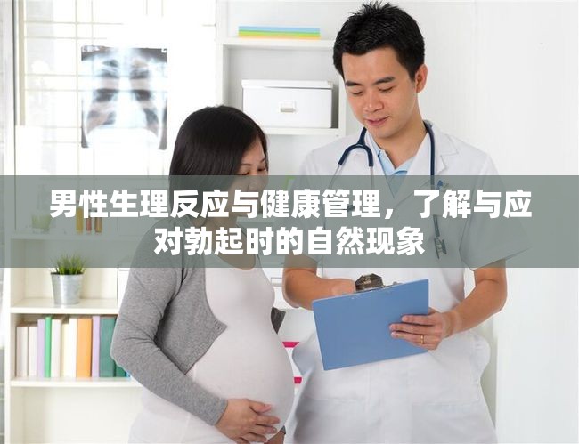 男性生理反應(yīng)與健康管理，了解與應(yīng)對(duì)勃起時(shí)的自然現(xiàn)象