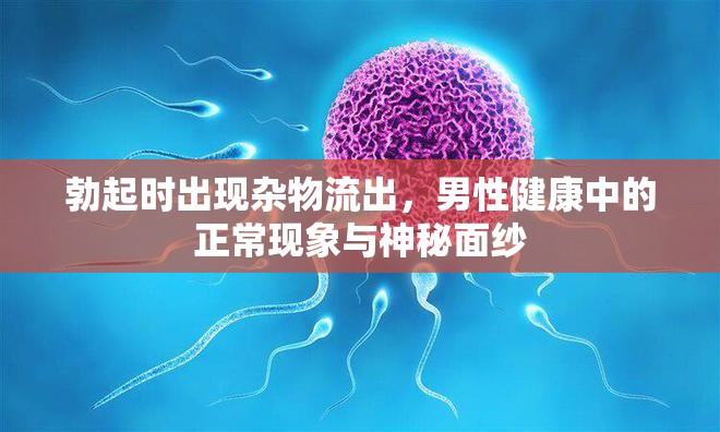 勃起時(shí)出現(xiàn)雜物流出，男性健康中的正?，F(xiàn)象與神秘面紗