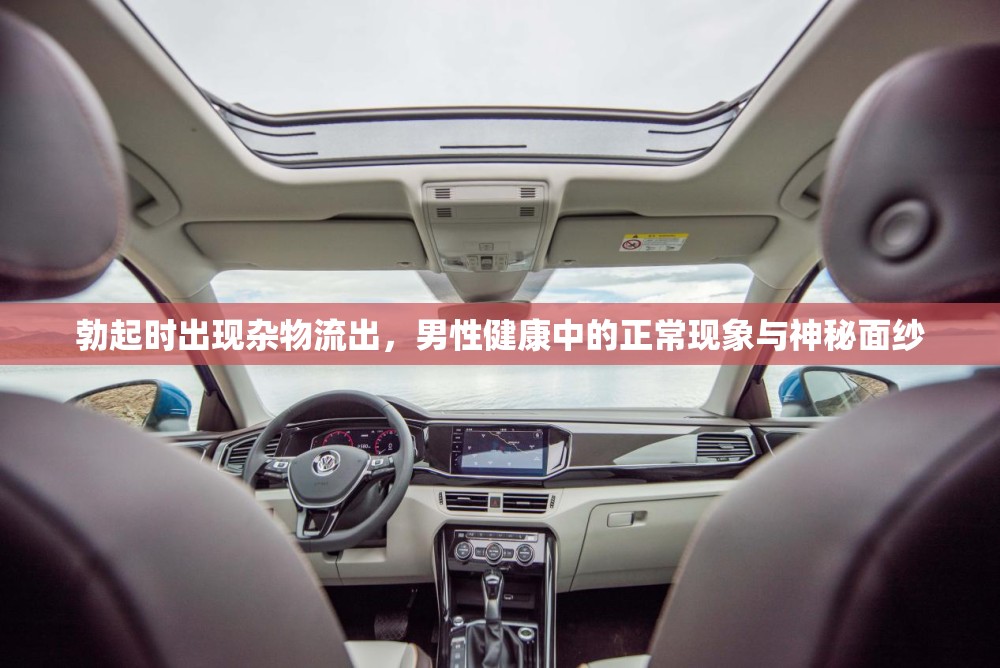 勃起時(shí)出現(xiàn)雜物流出，男性健康中的正?，F(xiàn)象與神秘面紗