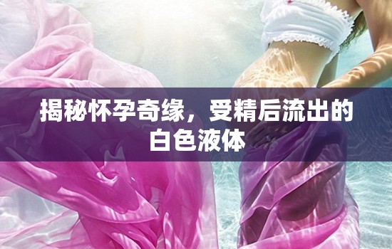 揭秘懷孕奇緣，受精后流出的白色液體