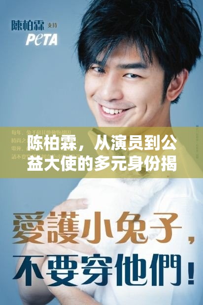 陳柏霖，從演員到公益大使的多元身份揭秘