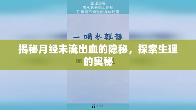 揭秘月經(jīng)未流出血的隱秘，探索生理的奧秘