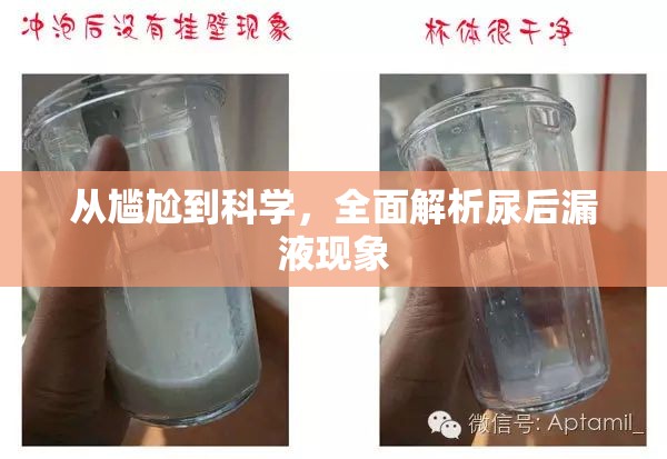 從尷尬到科學(xué)，全面解析尿后漏液現(xiàn)象